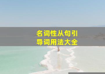 名词性从句引导词用法大全