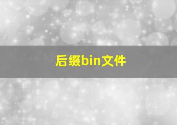 后缀bin文件