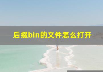 后缀bin的文件怎么打开