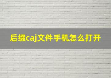 后缀caj文件手机怎么打开