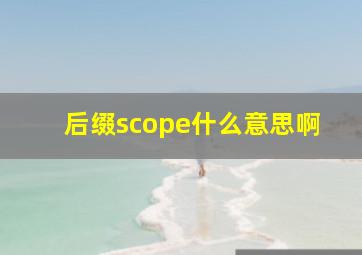 后缀scope什么意思啊