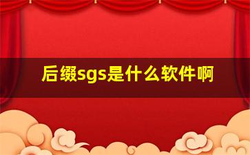 后缀sgs是什么软件啊