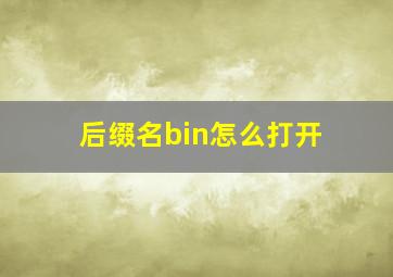 后缀名bin怎么打开