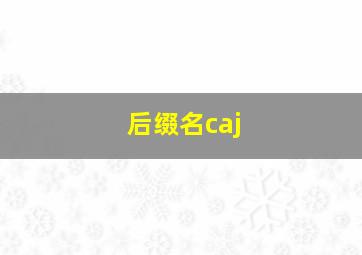 后缀名caj