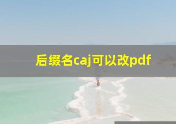 后缀名caj可以改pdf