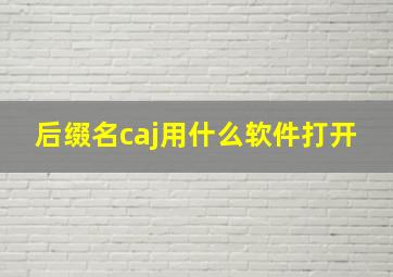 后缀名caj用什么软件打开