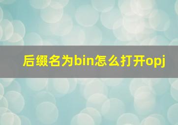 后缀名为bin怎么打开opj