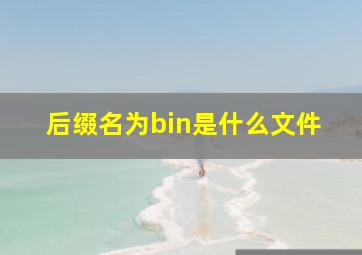 后缀名为bin是什么文件