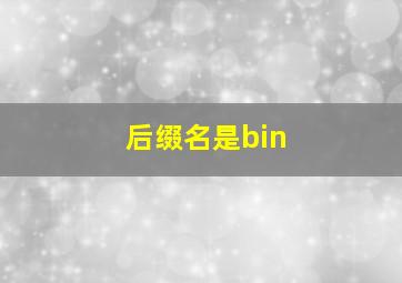 后缀名是bin