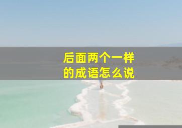 后面两个一样的成语怎么说