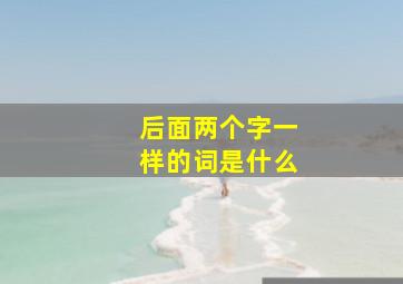 后面两个字一样的词是什么