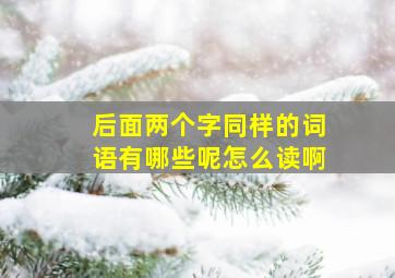 后面两个字同样的词语有哪些呢怎么读啊