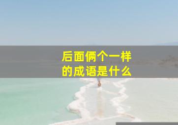 后面俩个一样的成语是什么