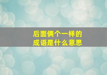 后面俩个一样的成语是什么意思