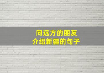 向远方的朋友介绍新疆的句子