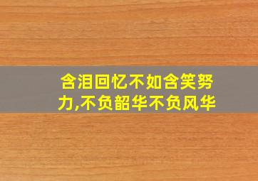 含泪回忆不如含笑努力,不负韶华不负风华