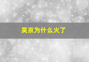 吴京为什么火了