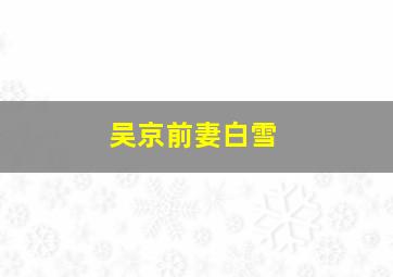 吴京前妻白雪