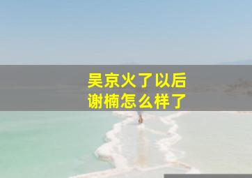 吴京火了以后谢楠怎么样了