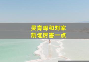 吴青峰和刘家凯谁厉害一点