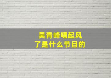 吴青峰唱起风了是什么节目的