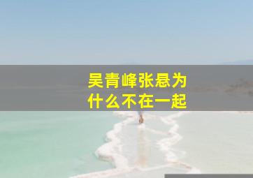 吴青峰张悬为什么不在一起