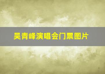 吴青峰演唱会门票图片