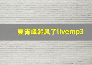 吴青峰起风了livemp3