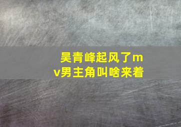 吴青峰起风了mv男主角叫啥来着