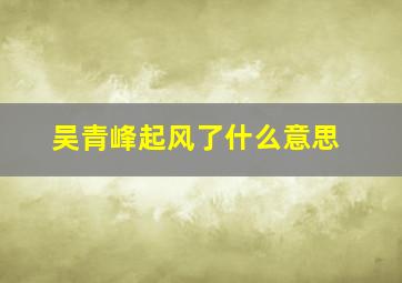 吴青峰起风了什么意思