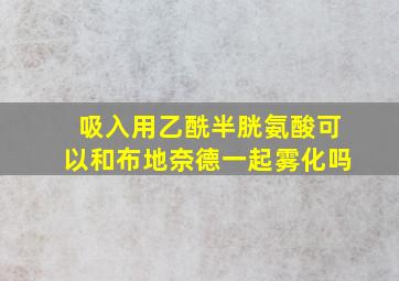 吸入用乙酰半胱氨酸可以和布地奈德一起雾化吗