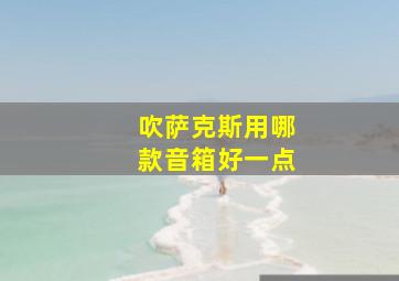 吹萨克斯用哪款音箱好一点