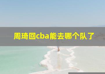 周琦回cba能去哪个队了