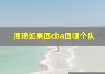 周琦如果回cba回哪个队