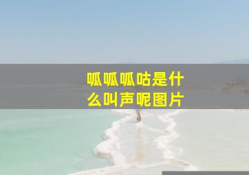 呱呱呱咕是什么叫声呢图片