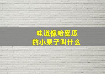 味道像哈密瓜的小果子叫什么