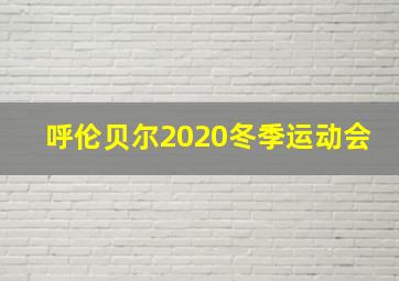 呼伦贝尔2020冬季运动会