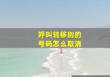 呼叫转移别的号码怎么取消