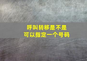 呼叫转移是不是可以指定一个号码