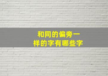 和同的偏旁一样的字有哪些字