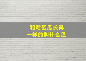 和哈密瓜长得一样的叫什么瓜