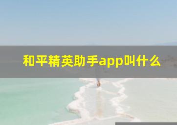 和平精英助手app叫什么