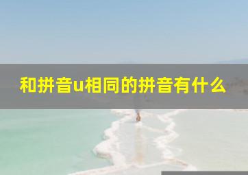 和拼音u相同的拼音有什么