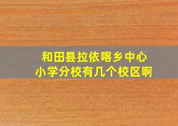 和田县拉依喀乡中心小学分校有几个校区啊