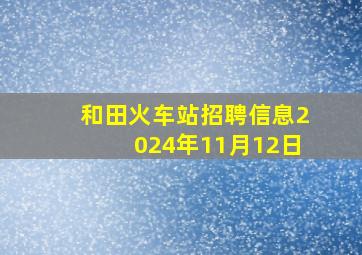 和田火车站招聘信息2024年11月12日