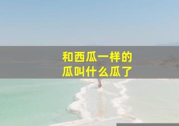 和西瓜一样的瓜叫什么瓜了