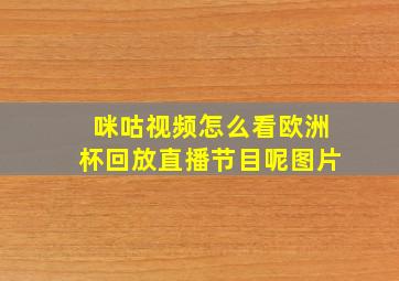 咪咕视频怎么看欧洲杯回放直播节目呢图片