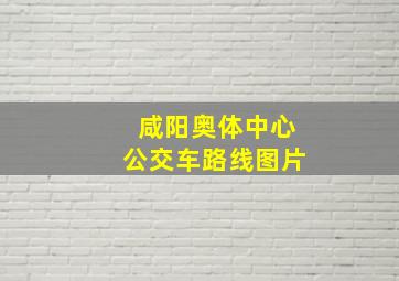 咸阳奥体中心公交车路线图片