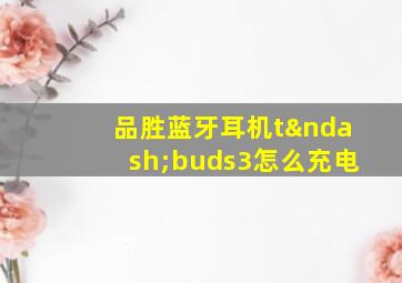 品胜蓝牙耳机t–buds3怎么充电