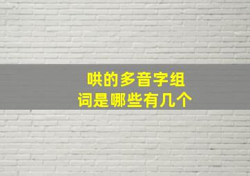 哄的多音字组词是哪些有几个